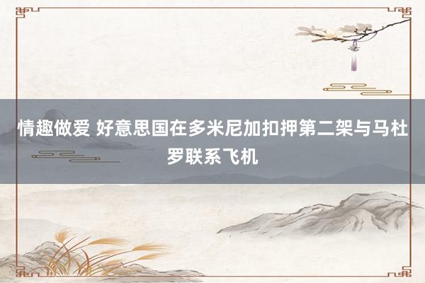 情趣做爱 好意思国在多米尼加扣押第二架与马杜罗联系飞机