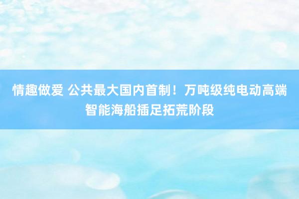情趣做爱 公共最大国内首制！万吨级纯电动高端智能海船插足拓荒阶段