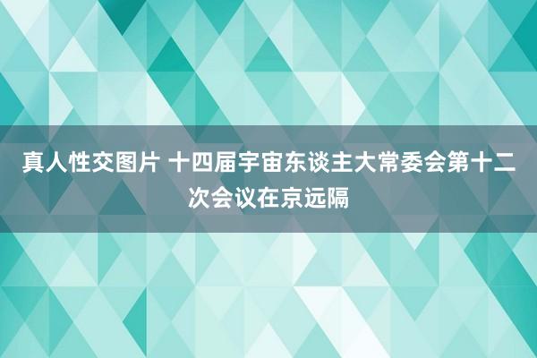 真人性交图片 十四届宇宙东谈主大常委会第十二次会议在京远隔