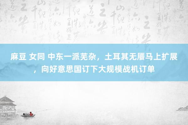 麻豆 女同 中东一派芜杂，土耳其无餍马上扩展，向好意思国订下大规模战机订单