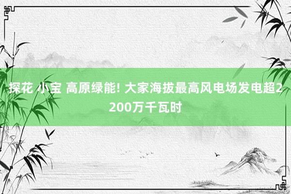 探花 小宝 高原绿能! 大家海拔最高风电场发电超2200万千瓦时