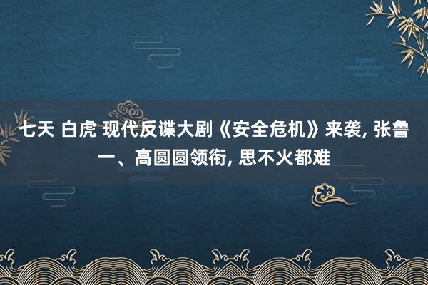 七天 白虎 现代反谍大剧《安全危机》来袭， 张鲁一、高圆圆领衔， 思不火都难