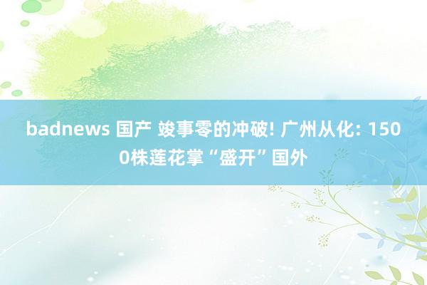 badnews 国产 竣事零的冲破! 广州从化: 1500株莲花掌“盛开”国外