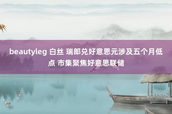 beautyleg 白丝 瑞郎兑好意思元涉及五个月低点 市集聚焦好意思联储