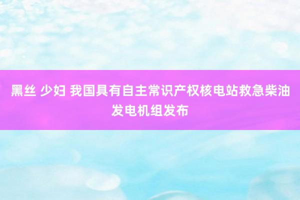 黑丝 少妇 我国具有自主常识产权核电站救急柴油发电机组发布