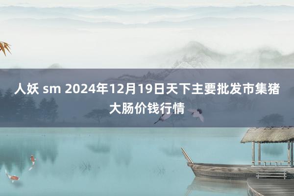人妖 sm 2024年12月19日天下主要批发市集猪大肠价钱行情