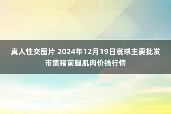 真人性交图片 2024年12月19日寰球主要批发市集猪前腿肌肉价钱行情