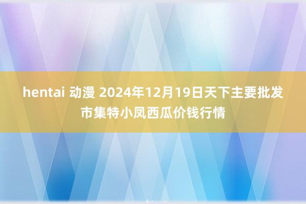 hentai 动漫 2024年12月19日天下主要批发市集特小凤西瓜价钱行情