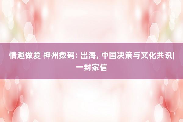 情趣做爱 神州数码: 出海， 中国决策与文化共识|一封家信