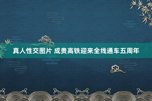 真人性交图片 成贵高铁迎来全线通车五周年