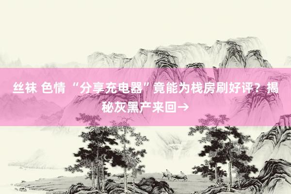 丝袜 色情 “分享充电器”竟能为栈房刷好评？揭秘灰黑产来回→