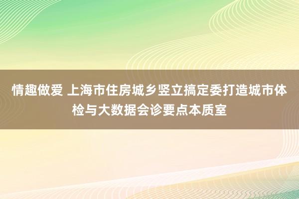 情趣做爱 上海市住房城乡竖立搞定委打造城市体检与大数据会诊要点本质室