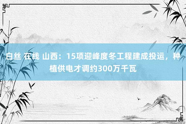 白丝 在线 山西：15项迎峰度冬工程建成投运，种植供电才调约300万千瓦
