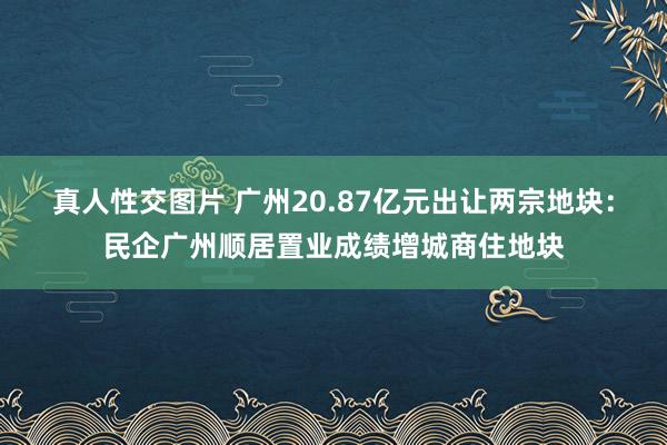真人性交图片 广州20.87亿元出让两宗地块：民企广州顺居置业成绩增城商住地块