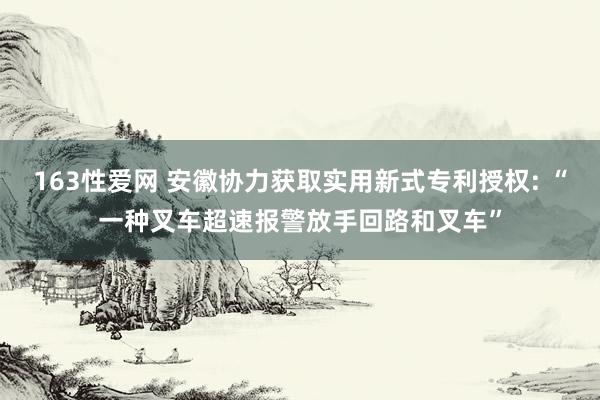 163性爱网 安徽协力获取实用新式专利授权: “一种叉车超速报警放手回路和叉车”