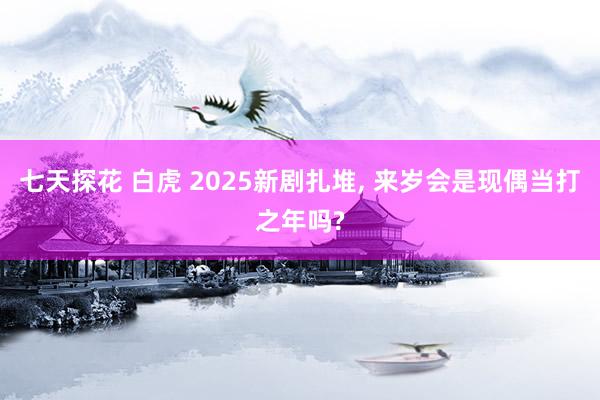 七天探花 白虎 2025新剧扎堆， 来岁会是现偶当打之年吗?