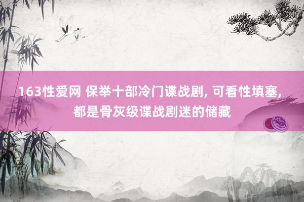 163性爱网 保举十部冷门谍战剧， 可看性填塞， 都是骨灰级谍战剧迷的储藏