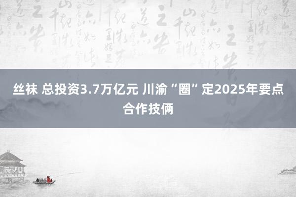 丝袜 总投资3.7万亿元 川渝“圈”定2025年要点合作技俩