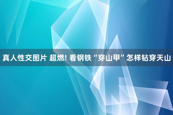 真人性交图片 超燃! 看钢铁“穿山甲”怎样钻穿天山
