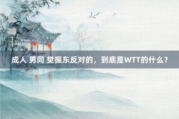 成人 男同 樊振东反对的，到底是WTT的什么？
