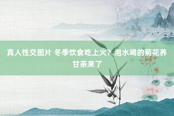 真人性交图片 冬季饮食吃上火？泡水喝的菊花养甘茶来了