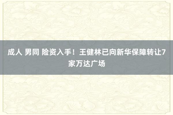 成人 男同 险资入手！王健林已向新华保障转让7家万达广场