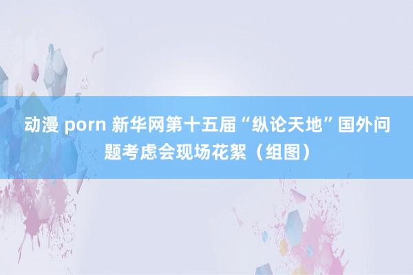 动漫 porn 新华网第十五届“纵论天地”国外问题考虑会现场花絮（组图）