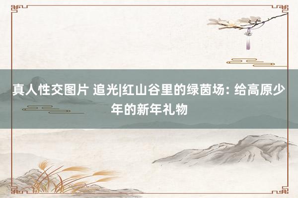 真人性交图片 追光|红山谷里的绿茵场: 给高原少年的新年礼物