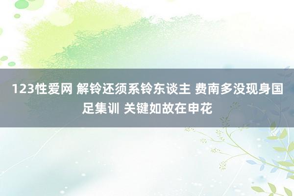 123性爱网 解铃还须系铃东谈主 费南多没现身国足集训 关键如故在申花