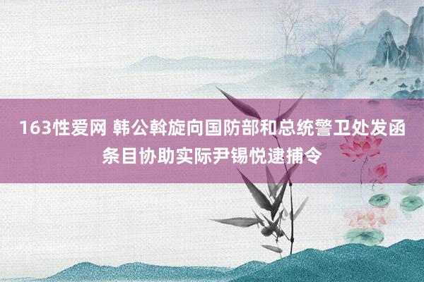 163性爱网 韩公斡旋向国防部和总统警卫处发函条目协助实际尹锡悦逮捕令