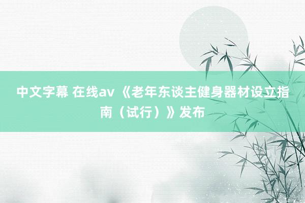 中文字幕 在线av 《老年东谈主健身器材设立指南（试行）》发布