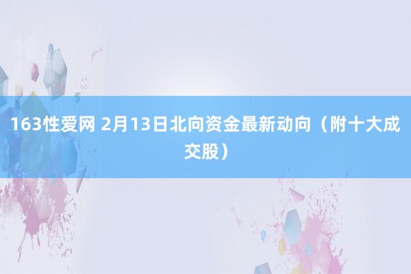 163性爱网 2月13日北向资金最新动向（附十大成交股）