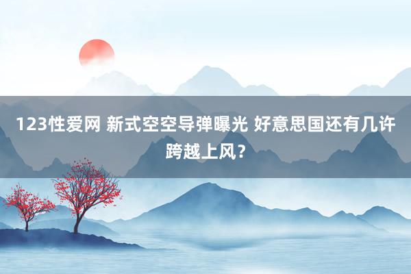 123性爱网 新式空空导弹曝光 好意思国还有几许跨越上风？