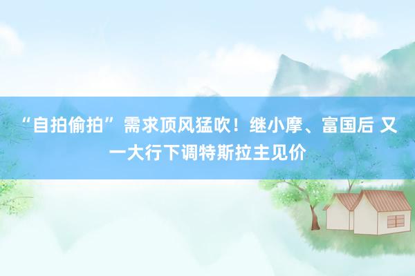 “自拍偷拍” 需求顶风猛吹！继小摩、富国后 又一大行下调特斯拉主见价