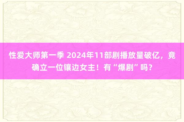性爱大师第一季 2024年11部剧播放量破亿，竟确立一位镶边女主！有“爆剧”吗？