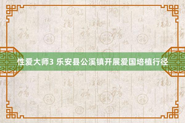 性爱大师3 乐安县公溪镇开展爱国培植行径