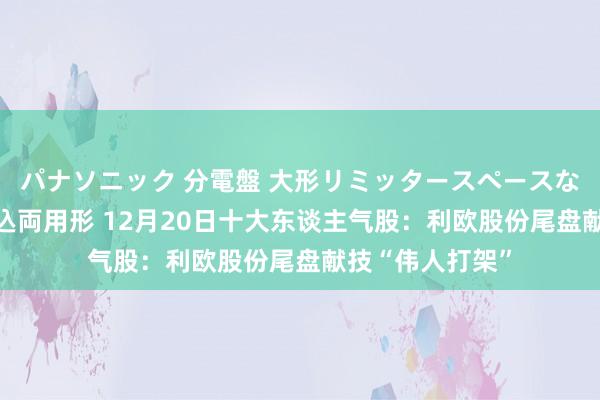 パナソニック 分電盤 大形リミッタースペースなし 露出・半埋込両用形 12月20日十大东谈主气股：利欧股份尾盘献技“伟人打架”