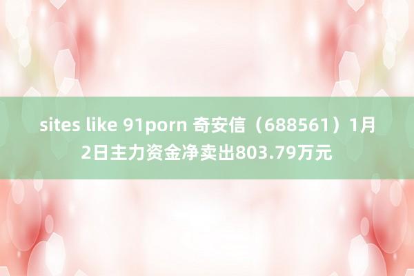 sites like 91porn 奇安信（688561）1月2日主力资金净卖出803.79万元