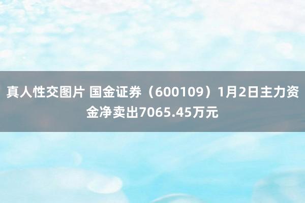 真人性交图片 国金证券（600109）1月2日主力资金净卖出7065.45万元