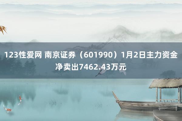 123性爱网 南京证券（601990）1月2日主力资金净卖出7462.43万元