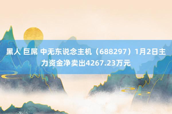 黑人 巨屌 中无东说念主机（688297）1月2日主力资金净卖出4267.23万元