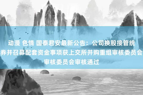 动漫 色情 国泰君安最新公告：公司换股接管统一海通证券并召募配套资金事项获上交所并购重组审核委员会审核通过