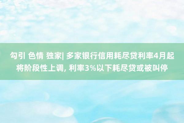 勾引 色情 独家| 多家银行信用耗尽贷利率4月起将阶段性上调， 利率3%以下耗尽贷或被叫停