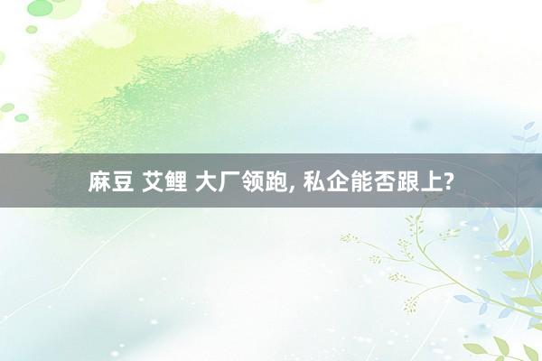 麻豆 艾鲤 大厂领跑， 私企能否跟上?