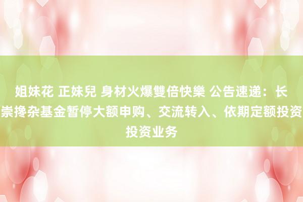 姐妹花 正妹兒 身材火爆雙倍快樂 公告速递：长盛盛崇搀杂基金暂停大额申购、交流转入、依期定额投资业务