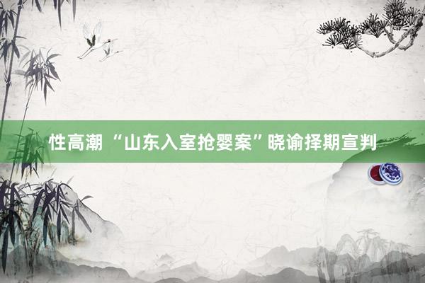 性高潮 “山东入室抢婴案”晓谕择期宣判