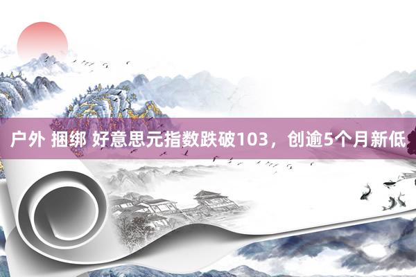 户外 捆绑 好意思元指数跌破103，创逾5个月新低