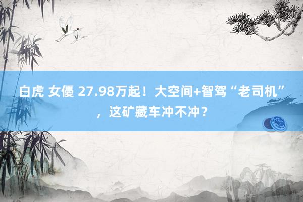白虎 女優 27.98万起！大空间+智驾“老司机”，这矿藏车冲不冲？