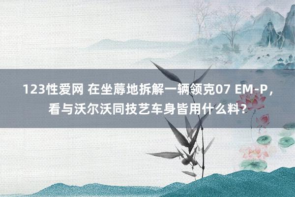 123性爱网 在坐蓐地拆解一辆领克07 EM-P，看与沃尔沃同技艺车身皆用什么料？