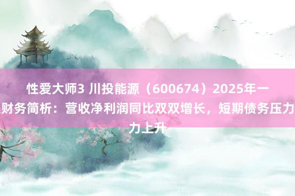 性爱大师3 川投能源（600674）2025年一季报财务简析：营收净利润同比双双增长，短期债务压力上升